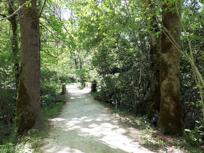 Randonnée pédestre : Le Chemin des Fontaines 15km / 4h00